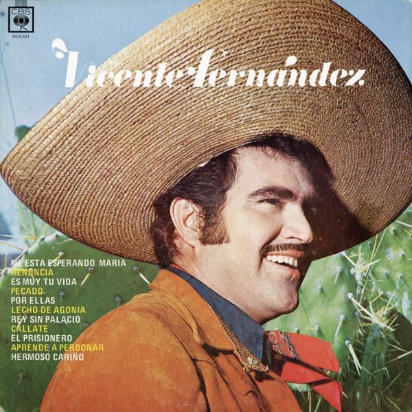 Cariño cover