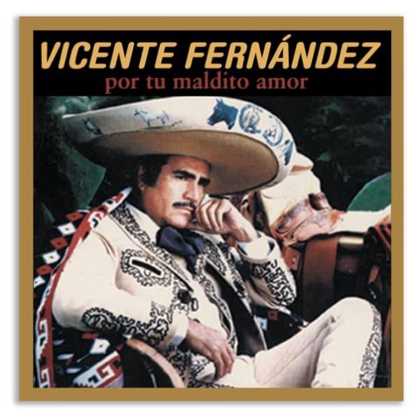 En el Olvido cover