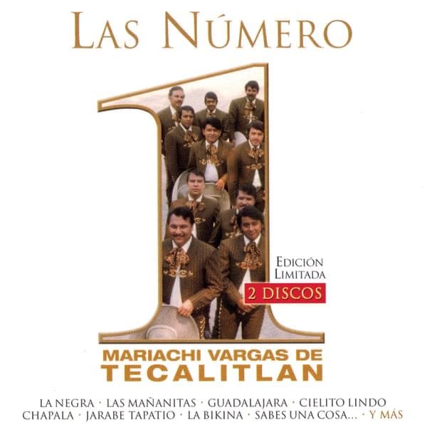 Jarabe Tapatío cover